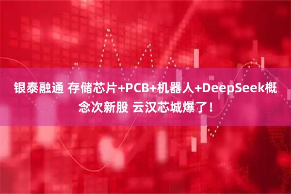 银泰融通 存储芯片+PCB+机器人+DeepSeek概念次新股 云汉芯城爆了！