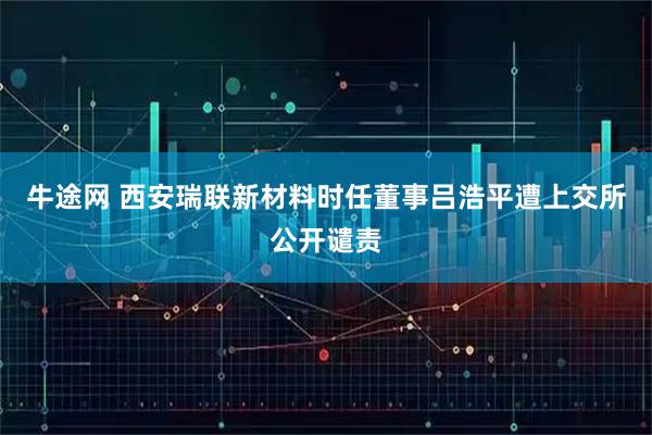 牛途网 西安瑞联新材料时任董事吕浩平遭上交所公开谴责