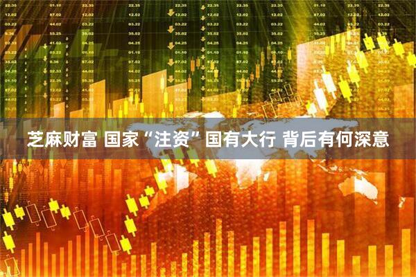 芝麻财富 国家“注资”国有大行 背后有何深意