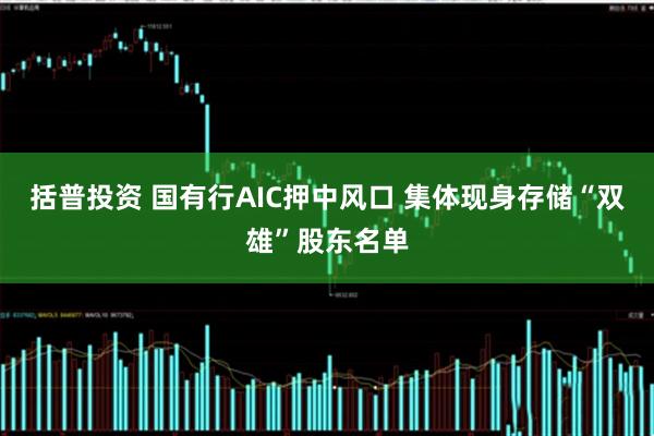 括普投资 国有行AIC押中风口 集体现身存储“双雄”股东名单